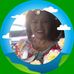 Wanda Abbott - Facebook