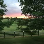 Wanda Abbott - @acgirl51 - Instagram