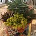 Wanda K Ackerman - Facebook
