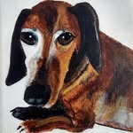 Wanda Acosta - @petportraitsbywanda - Instagram