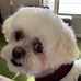 Wanda Curtis Aiken - Facebook