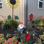 Wanda Albright - @wanda.albright.3 - Instagram