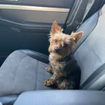 Wanda Lee Albright - @wanda.albright.752 - Instagram