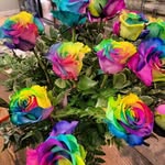 Wanda Prestage Alford - @wanda.prestage - Instagram