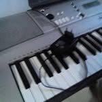Andrew Wanda - @wandaandrew - Instagram