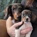 Wanda Arbogast Young - Facebook