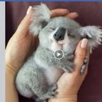 Wanda Archibald - Facebook