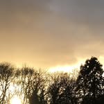 Wanda Ashcraft - @ashcraft.wanda - Instagram