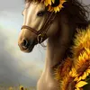 Winnie - @wandaaultman956 - TikTok