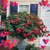 Wanda Faye Autry - @wanda.faye.autry - TikTok