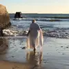 Wanda Ayala - @maewandadeoya - TikTok