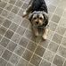 Wanda Baird - Facebook