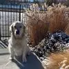 wandabaird2 - @wanda.baird8 - TikTok