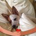 Wanda Ball - Facebook