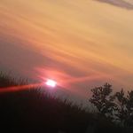Wanda Lee Ballou - @wandaballou - Instagram