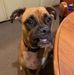 Wanda Barbee - Facebook