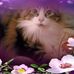 Wanda Barr - Facebook