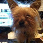 Wanda Bartley - @wanda5758 - Instagram