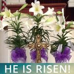 Wanda Bartley Rose - @wanda.rose.5201 - Instagram