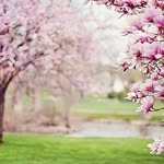 Wanda Barton - @wandabarton728696 - Instagram