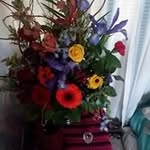 Wanda Beck - @wanda.beck.58511 - Instagram