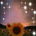 Wanda Bender - Facebook