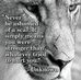 Wanda Biddle - Facebook
