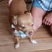 Wanda Blackburn - Facebook