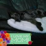 Wanda Bledsoe - @wanda.bledsoe.71 - Instagram