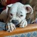 Wanda Blevins - Facebook