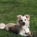 Wanda Blume - Facebook