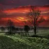 Wanda Blume - @reqlsssfsa4343ndsre - TikTok