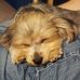 Bodie Wanda - Facebook