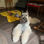 Wanda Bollinger Scarl - @wandascarl - Instagram