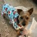 Wanda Kelley Bonham - Facebook