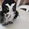 Wanda Bottger - @wanda.bottgerhoot - TikTok