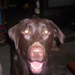 William Botts - @wandabotts - Instagram