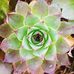 Wanda Bouchard - Facebook