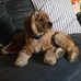 Wanda Boucher - Facebook