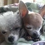 Wanda Bowling - @wandabowling - Instagram