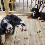 Wanda Carroll Boyce - @harperchloe58 - Instagram