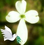 Wanda Bracey - Facebook