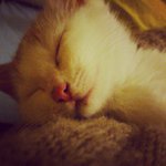 Wanda Braddock - @heltonburfordhel3309 - Instagram