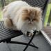Wanda Bradfield - Facebook