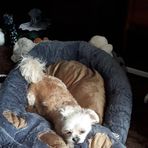 Wanda Bradshaw - Facebook