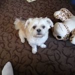 Wanda Bradshaw - @wandabradshaw57 - Instagram