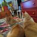 Wanda Belle Bragg - Facebook