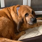 Wanda Bragg barham - @barhamwandabragg - Instagram
