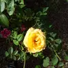 Wanda Braggio - @wanda.braggio - TikTok