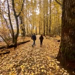 Wanda Branch - @branch_ranch4 - Instagram